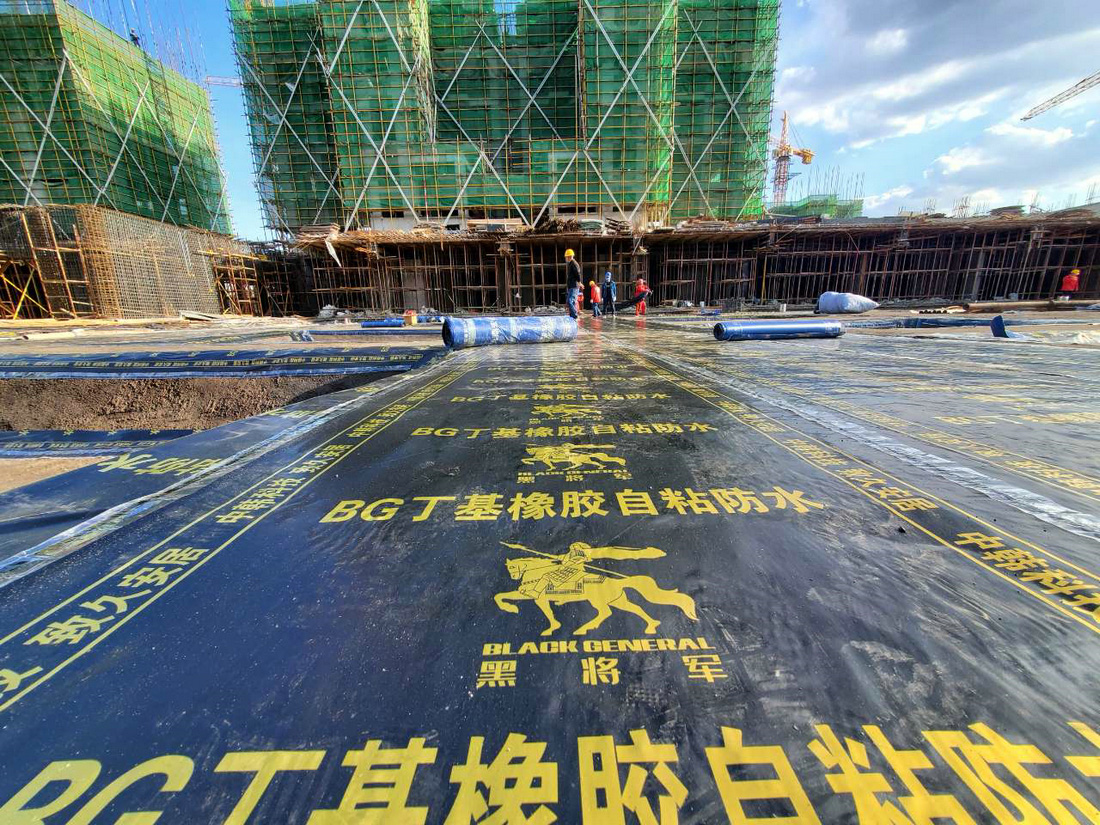 沈陽孔雀城項目