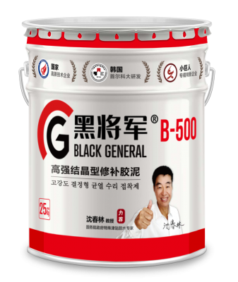 B-500高強結(jié)晶型修補膠泥